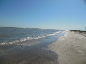 strand aan de Golf van Mexico